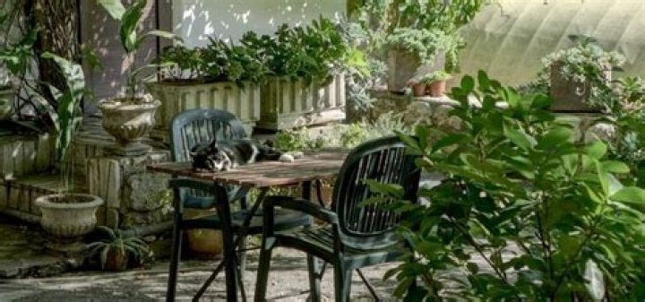 A garden table and a bench cost $977 combined. The garden