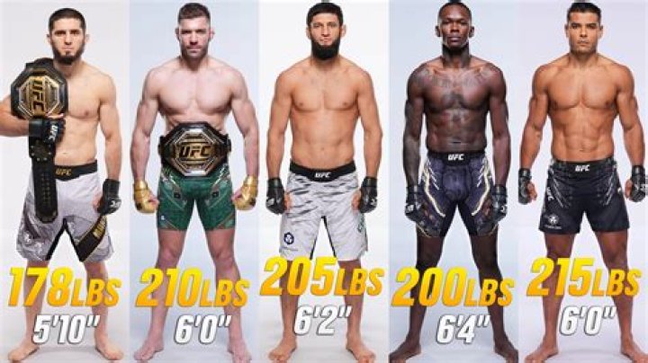 A Middleweight UFC fighter weighs between 170 lbs and 185 lbs.