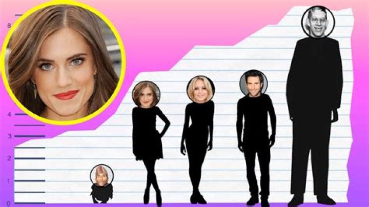 Allison Williams Height