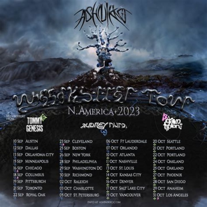 Is Ashnikko Deaf? Health Update 2023