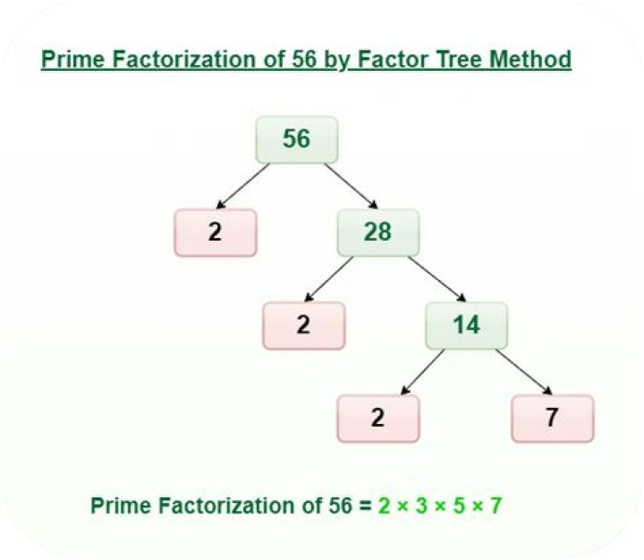 Show Factorization for 157