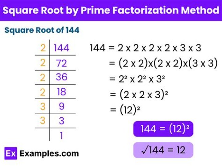 Show Factorization for 248