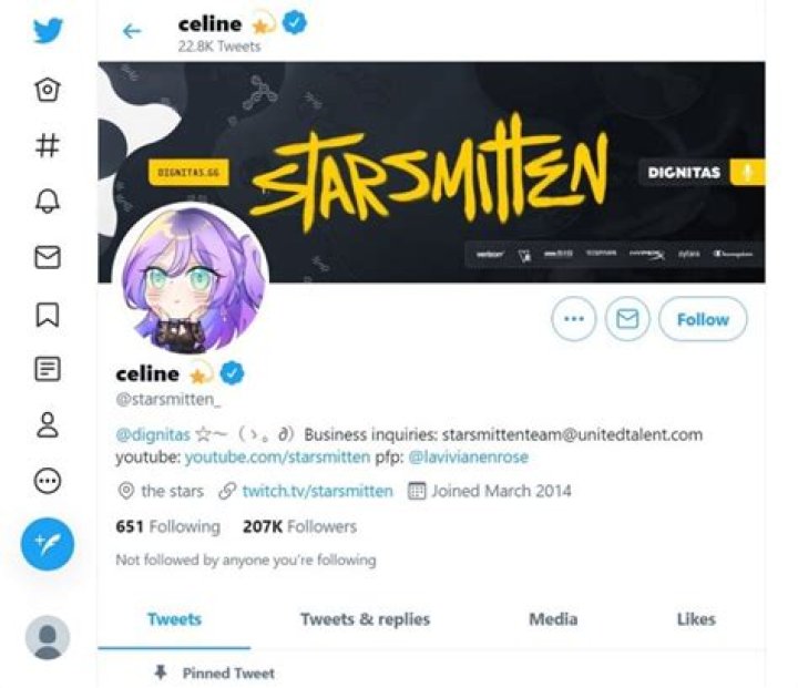 Starsmitten (Twitch Streamer) Wiki, Height, Age, Boyfriend, Family, Biography & More