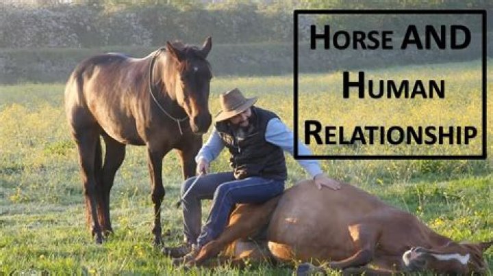Understanding the Horse-Human Bond: Horse Trainer William Mott’s Insight