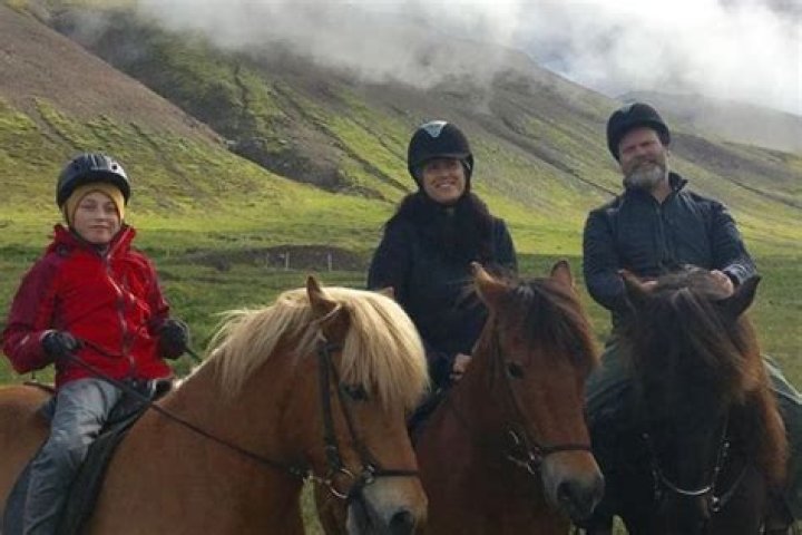 
Walter McKenzie Wilson, 5 Facts About Rainn Wilson’s Son
