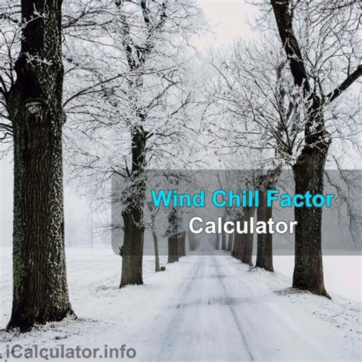 Wind Chill Factor Calculator Quiz